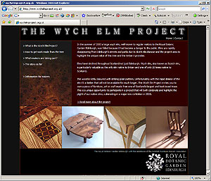 Wych elm Project